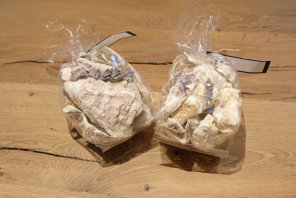 Tasche mit Austernschalen